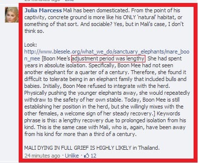 Why Maali Should Stay at The Manila Zoo