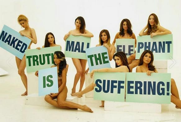 Why Maali Should Stay at The Manila Zoo