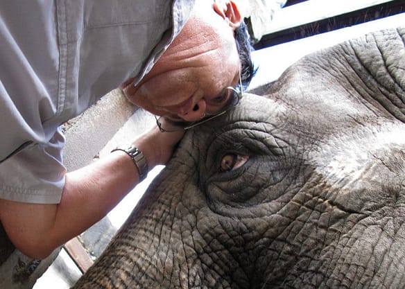 An Elephant Love Story