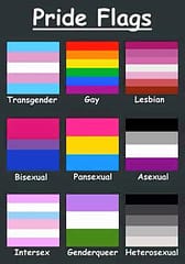 Pride Flags - Get Them Right