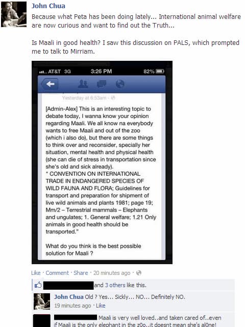 Why Maali Should Stay at The Manila Zoo